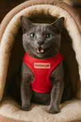 Load image into Gallery viewer, Parisian Pet 'Freedom Harness' for Dogs & Cats – Adjustable, Comfortable Red Dog Harness, Durable Design
