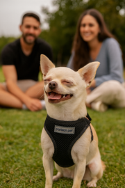 Parisian Pet 'Freedom Harness Black' for Dogs & Cats – Adjustable, Durable, Comfortable Black Dog Harness