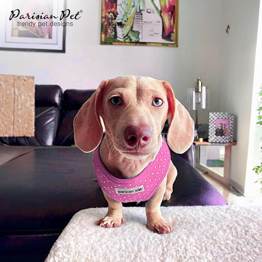 Parisian Pet 'Pink Dot Harness' for Dogs & Cats – Adjustable, Comfortable Pink Polka Dot Dog Harness, Stylish Fit for Small Pets