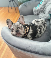 Parisian Pet 'Freedom Harness Leopard' for Dogs & Cats – Comfortable, Durable Adjustable Leopard Print Pet Harness