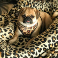 Load image into Gallery viewer, Parisian Pet 'Freedom Harness Leopard' for Dogs & Cats – Comfortable, Durable Adjustable Leopard Print Pet Harness
