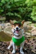 Load image into Gallery viewer, Parisian Pet 'Freedom Harness' for Dogs & Cats – Comfortable and Durable Neon Green Pet Harness-Saint Patrick's Day

