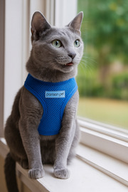 Parisian Pet 'Freedom Harness' for Dogs & Cats – Comfortable and Durable Neon Blue Pet Harness