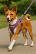 Load image into Gallery viewer, Adjustable lilac pet harness on a happy dog, walking on a path with a matching leash, showcasing comfort and style.
