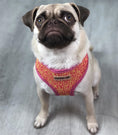 Load image into Gallery viewer, Parisian Pet 'Sport Net Harness' for Dogs & Cats – Comfortable & Adjustable Pet Apparel, Pink Yellow

