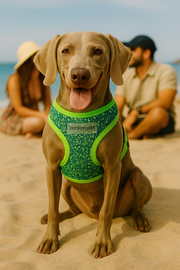 Parisian Pet 'Sport Net Harness' for Dogs & Cats – Comfortable Green & Blue Mesh Dog Harness-Saint Patrick's Day