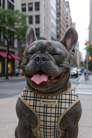 Parisian Pet 'Freedom Harness Khaki Plaid' for Dogs & Cats – Comfortable and Adjustable Dog Harness, Stylish Khaki Plaid Design