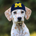 Load image into Gallery viewer, NCAA University of Michigan Wolverines Dog Hat
