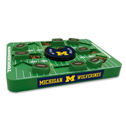 Michigan Large Puzzle Toy