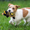 Load image into Gallery viewer, Michigan Plush Hedgehog Toy
