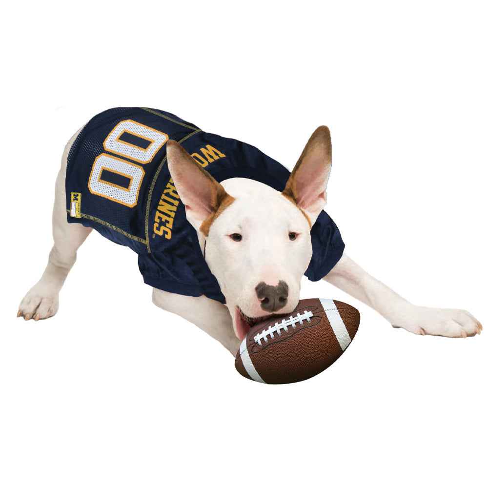 Michigan Wolverines Hunter College Dog Jersey - Official College Sports Pet Fan Apparel