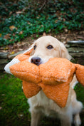 Load image into Gallery viewer, Squooshie™ Fox Plush Dog Toy - image 4
