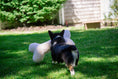 Load image into Gallery viewer, HuggleFleece® 2' Plush Bone Dog Toy - image 3
