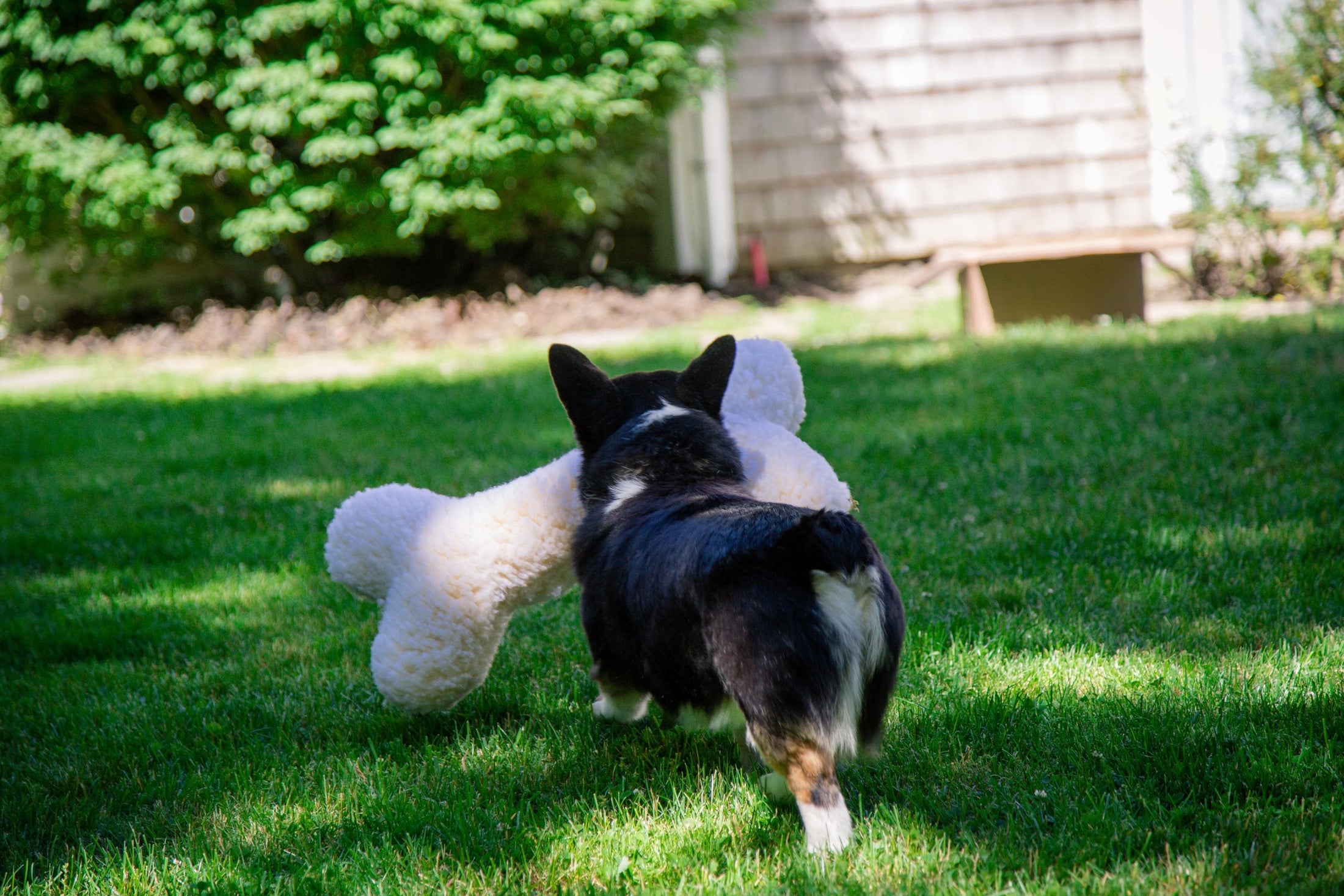 HuggleFleece® 2' Plush Bone Dog Toy - image 3