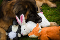 Load image into Gallery viewer, Squooshie™ Fox Plush Dog Toy - image 6
