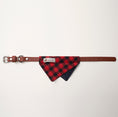 Load image into Gallery viewer, Nooee Pet Collar Daisy
