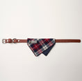Load image into Gallery viewer, Nooee Pet Collar Daisy
