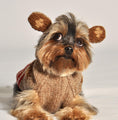 Load image into Gallery viewer, Monkey Hoodie Dog Sweater
