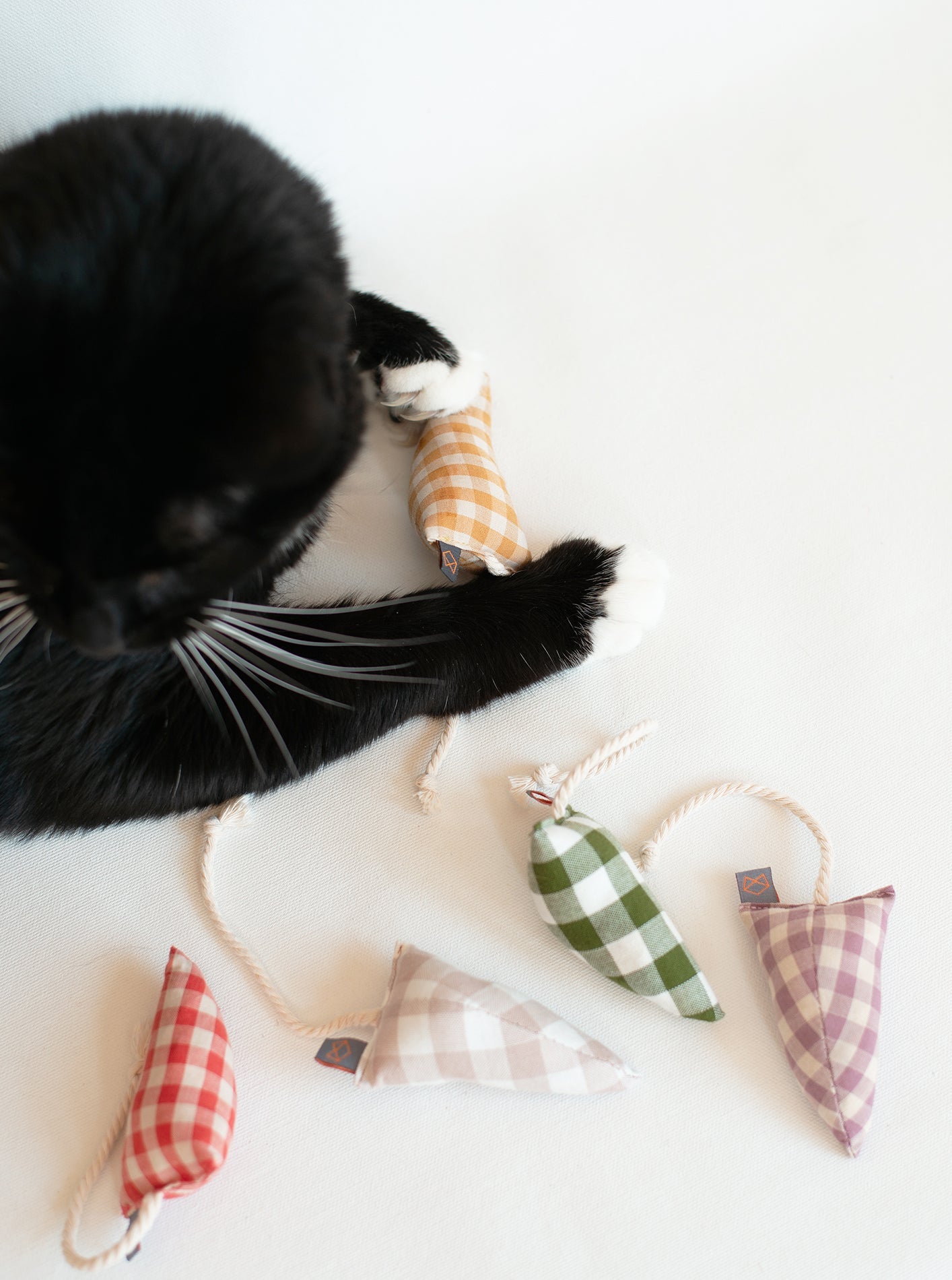 MODERN MOUSE - GINGHAM - Southlake Paws