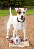 Load image into Gallery viewer, Seattle Mariners Baseball
