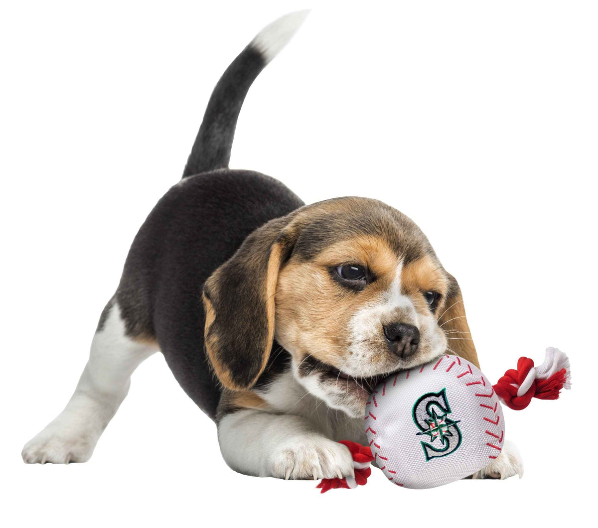 Seattle Mariners Baseball
