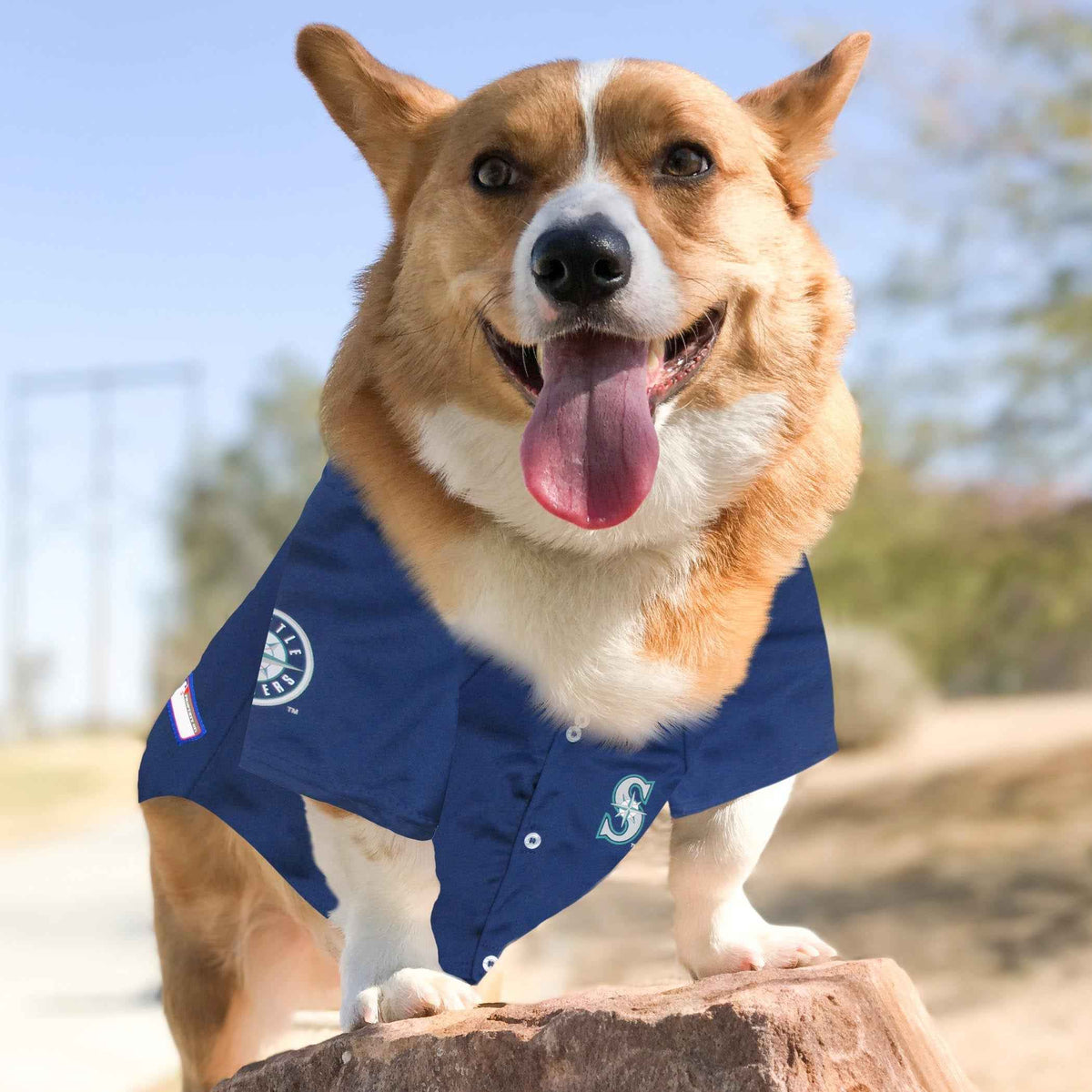 MLB Seattle Mariners Mesh Dog Jersey