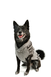 Alpaca Smokey Wyatt Dog Sweater