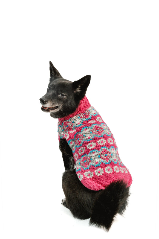 Alpaca Rose Fairisle Dog Sweater