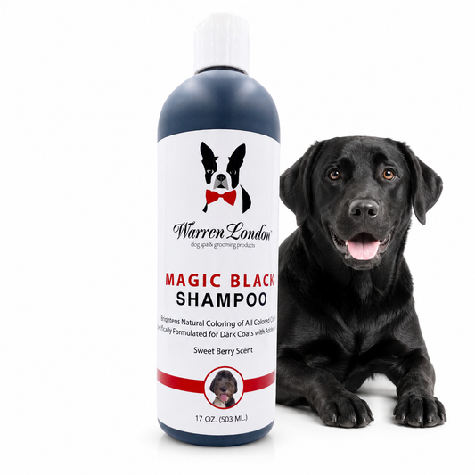 Southlake Paws Magic Black Brightening Dog Shampoo in a 17 oz bottle, featuring a black labrador and a sweet berry scent.