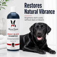 Load image into Gallery viewer, Magic Black Brightening Dog Shampoo by Southlake Paws in a professional size bottle, with a black dog resting beside it.

