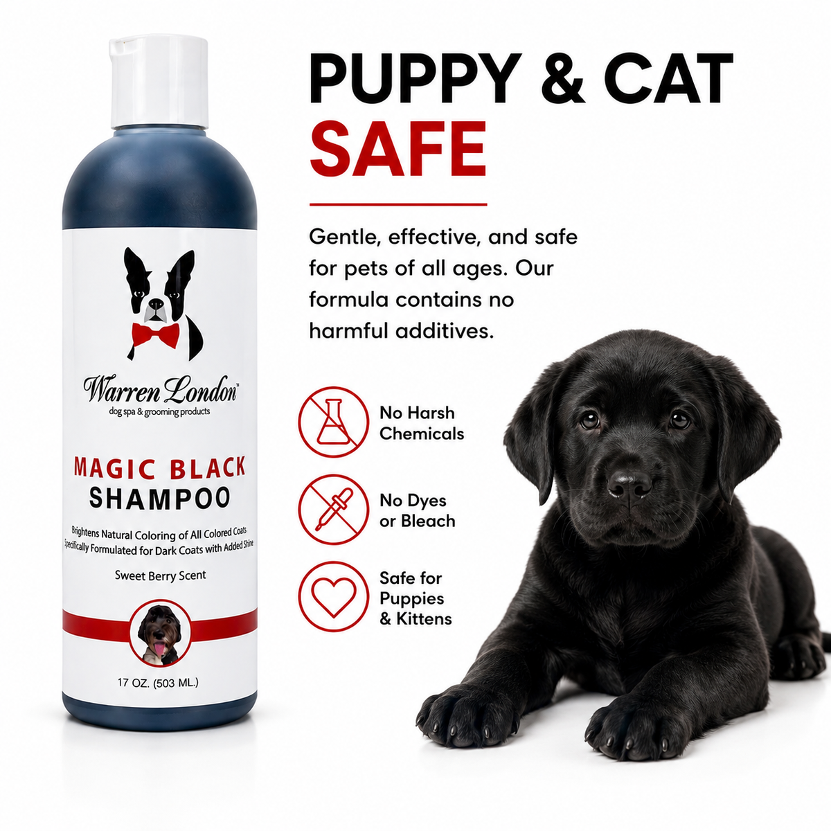 Southlake Paws Magic Black Brightening Dog Shampoo bottle with a black lab puppy. Safe for pets, sweet berry scent, no harsh 