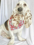Load image into Gallery viewer, Main Lobster Dog Bandana
