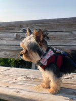 Maine Lobster Dog Bow Tie