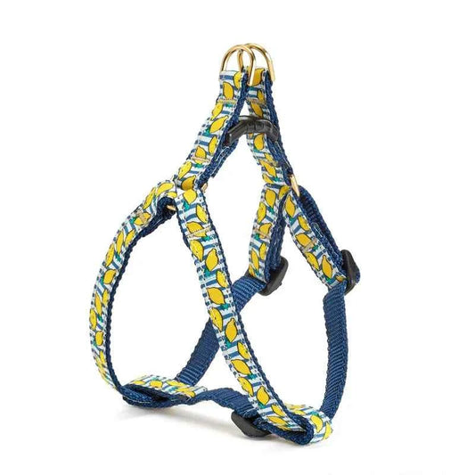 Up Country Make Lemonade Small Breed Dog Harness Made in USA