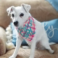 Load image into Gallery viewer, Mama's Girl Luxe Flannel Dog Bandana

