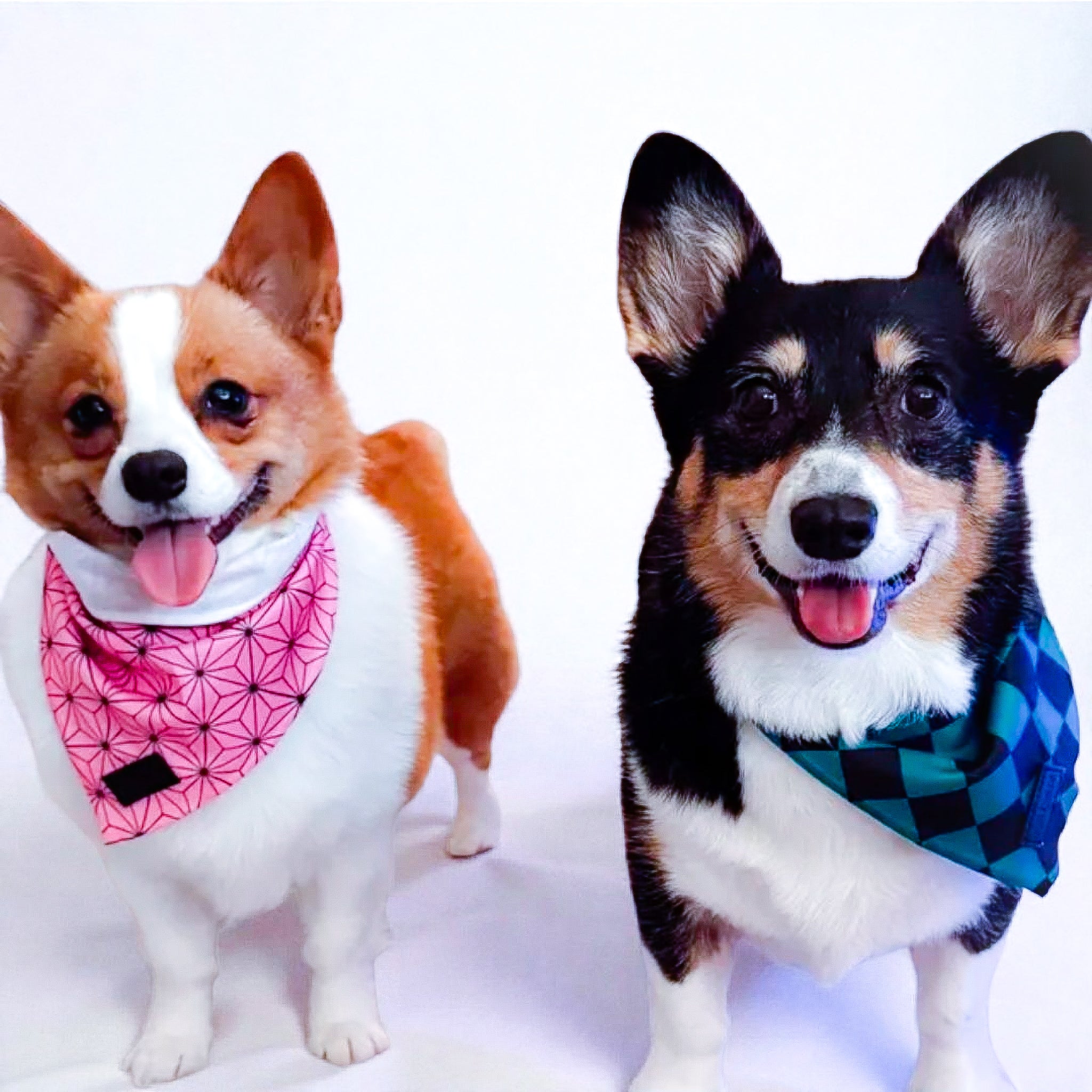 Ichimatsu Checker Cooling Bandana - Southlake Paws
