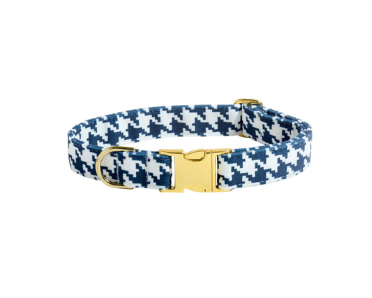 Designer Buckle Collar