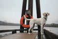 Load image into Gallery viewer, Marlin Dog Collar
