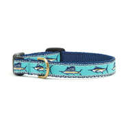 Marlin Small Breed Dog Collar