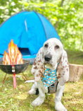 Load image into Gallery viewer, Marshmallow Camping Bandana
