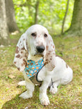Load image into Gallery viewer, Marshmallow Camping Bandana
