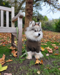 Load image into Gallery viewer, Wander! Multiway Leash -  Martini
