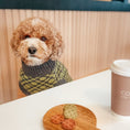 Load image into Gallery viewer, The Matcha | Olive Green Ribbed Knit Dog Sweater
