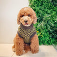 Load image into Gallery viewer, The Matcha | Olive Green Ribbed Knit Dog Sweater
