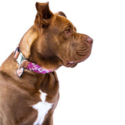 Melrose dog collar (quick release)