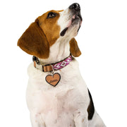 Melrose dog collar (quick release)