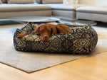 Mendocino B Lounge – Elevated Comfort, Effortless Style