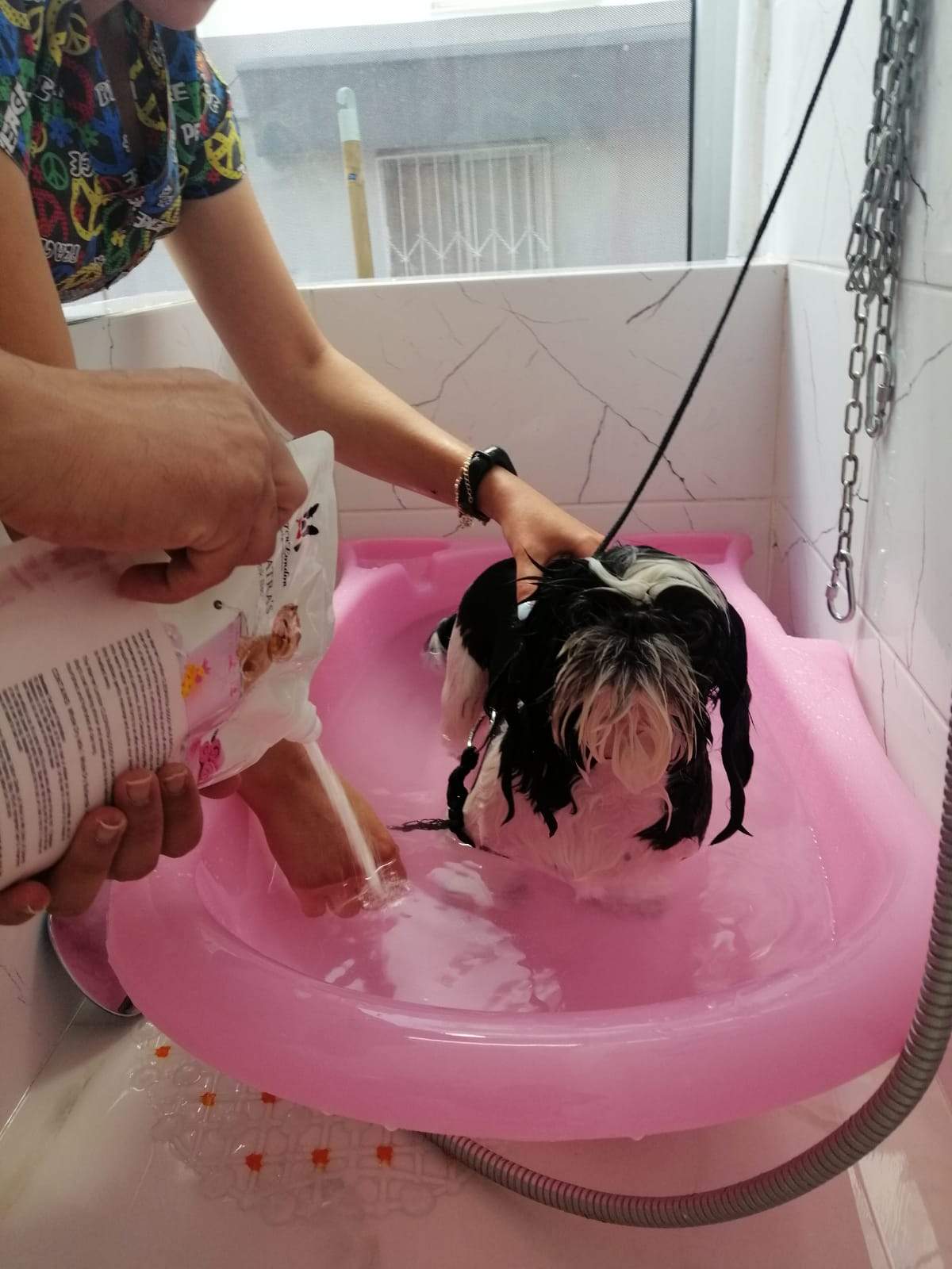 Cleopatra's Doggy Milk Bath - Southlake Paws