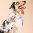 Load image into Gallery viewer, Minka Dog Babe Bow
