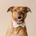 Load image into Gallery viewer, Minka Dog Bow Tie
